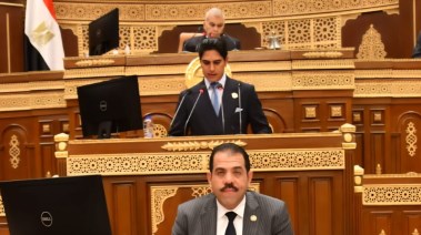 مجلس الشيوخ