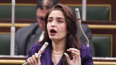 النائبة إيرين سعيد