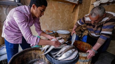 محلات الفسيخ