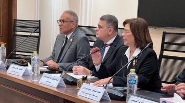 الدكتورة راندا مصطفى، رئيس لجنة التضامن