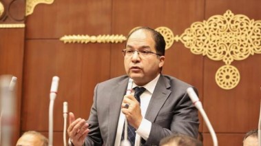 عادل اللمعي