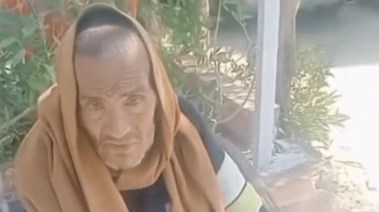 المسن 