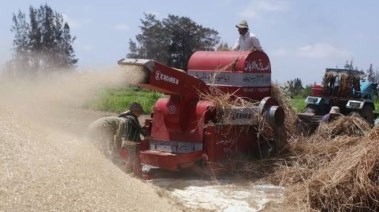 ماكينة دراس القمح