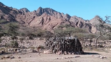 الليكاب منزل الضيافة والترحيب لقبائل العبابدة والبشارية بحلايب وشلاتين 