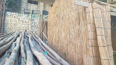 «الكفور» بمطاي.. مملكة "السباتة" وخشب الجزورين بالمنيا