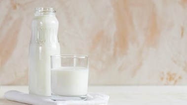 منتجات الألبان 