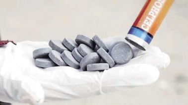  قرص غلة - أرشيفية