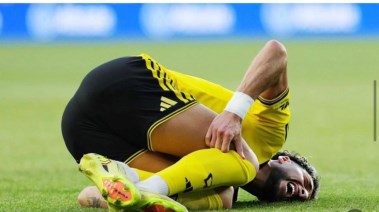 وسام أبو علي 