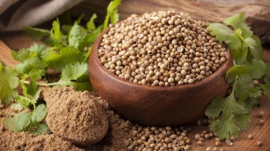 كزبرة ناشفة