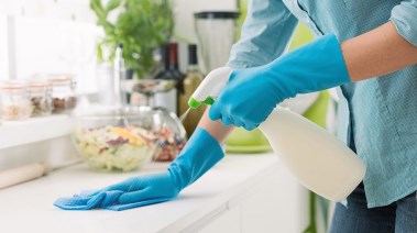 التخلص من ذباب المنزل