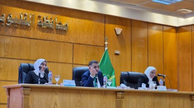 المجلس التنفيذي لمحافظة القليوبية 