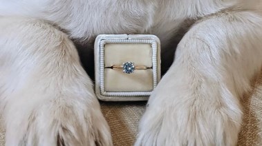 كيف تحول فرو قطتك إلى قطع ألماس؟