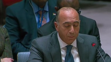 مندوب مصر لدى مجلس الأمن الدولي، السفير إيهاب عوض