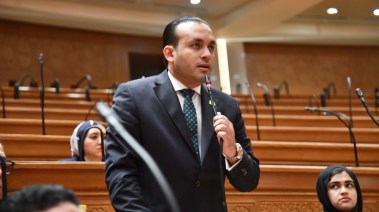 عضو مجلس النواب، عمرو فهمي