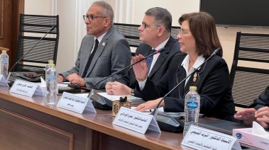 لجنة التضامن الاجتماعي والأسرة والأشخاص ذوي الإعاقة بمجلس النواب