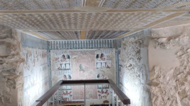 من موقع التطوير 