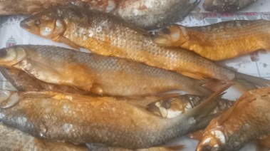 فسيخ فاسد بقنا 