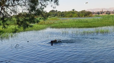 نهر النيل بدندرة بقنا 