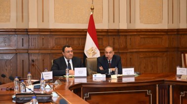 خلال اجتماع لجنة العلاقات الخارجية والشئون العربية