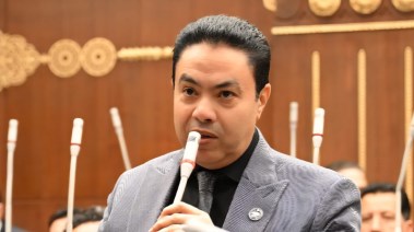 النائب إسماعيل الشرقاوي