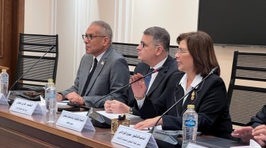  رئيس لجنة حقوق الإنسان بمجلس النواب، طارق رضوان