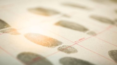 فيش وتشبيه - أرشيفية