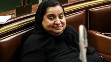 النائبة عبير الخولي