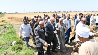 صورة محافظ الفيوم اثناء حصاد القمح 