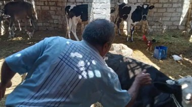 صورة من الحملة 