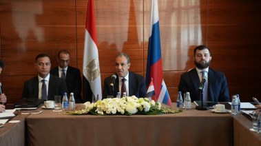 وزير الخارجية، الدكتور بدر عبدالعاطي