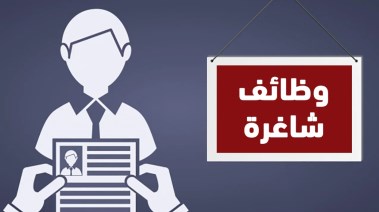 شروط التقديم في وظائف الحكومة 