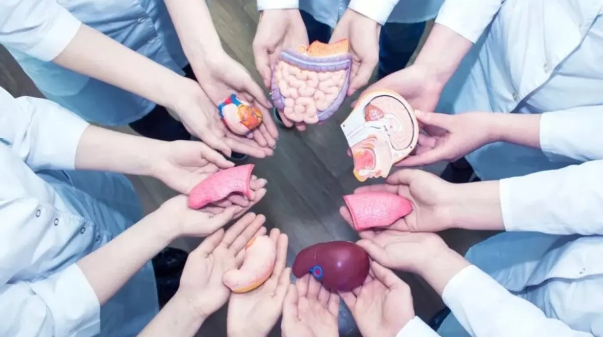  التبرع بالأنسجة بعد الوفاة