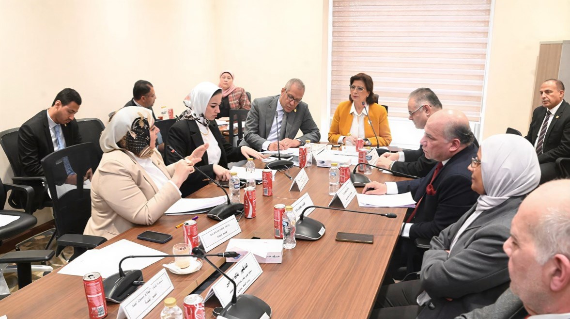 لجنة التضامن الاجتماعي والأسرة والأشخاص ذوي الإعاقة