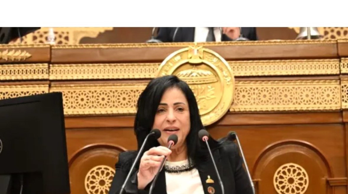 النائبة ميرال الهريدي