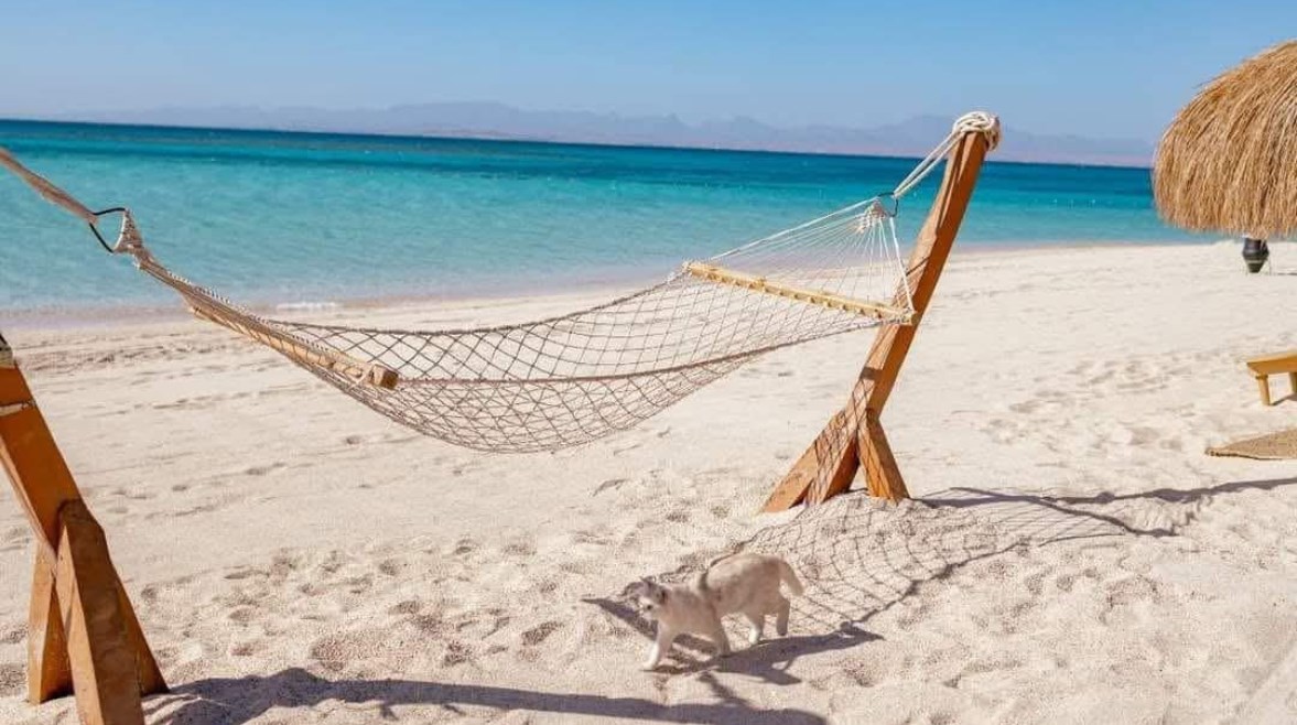 جزيرة مجاويش بالغردقة 