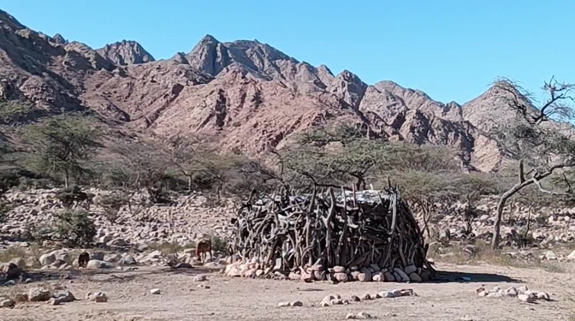 الليكاب منزل الضيافة والترحيب لقبائل العبابدة والبشارية بحلايب وشلاتين 