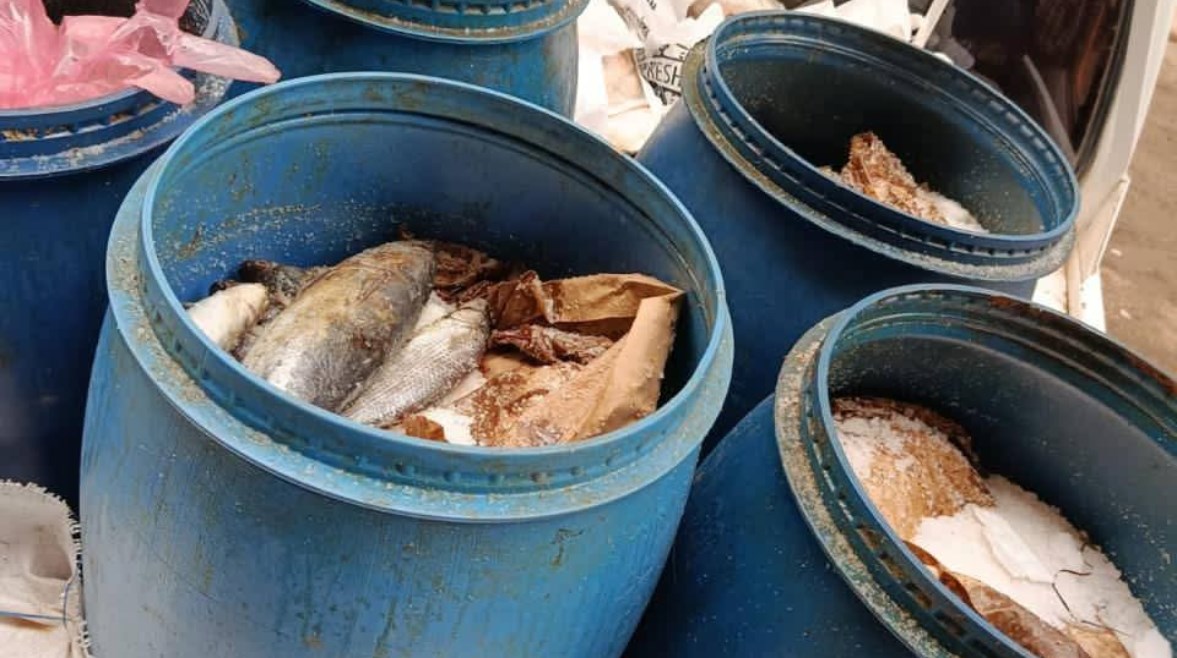 ضبط فسيخ وأسماك فاسدة بملوي