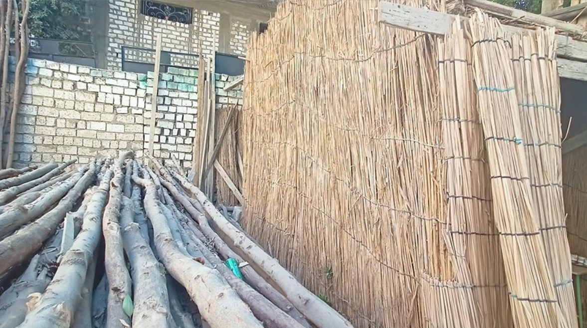 «الكفور» بمطاي.. مملكة "السباتة" وخشب الجزورين بالمنيا