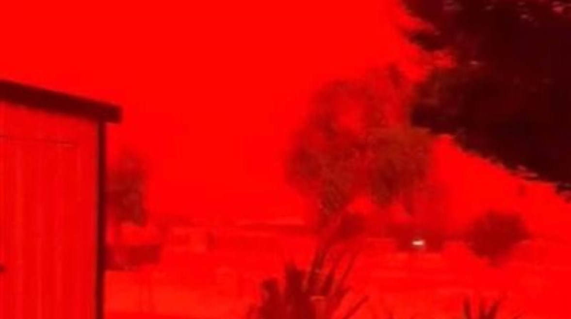 العاصفة الدموية 