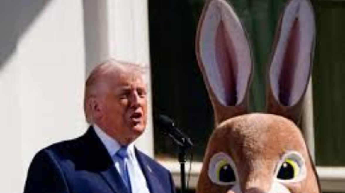 أرنب بجانب ترامب