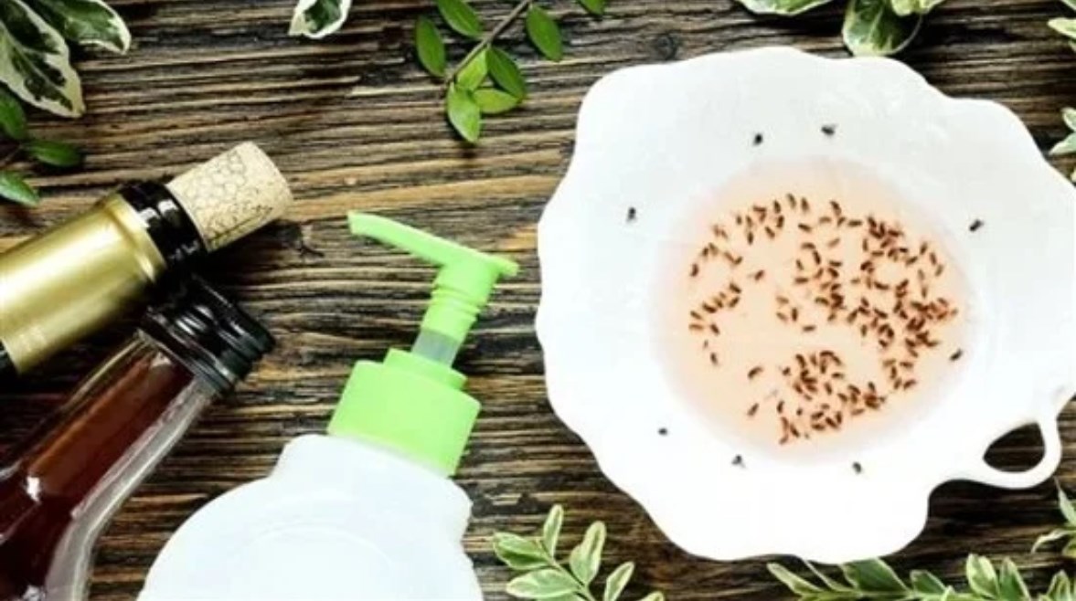 التخلص من الذباب