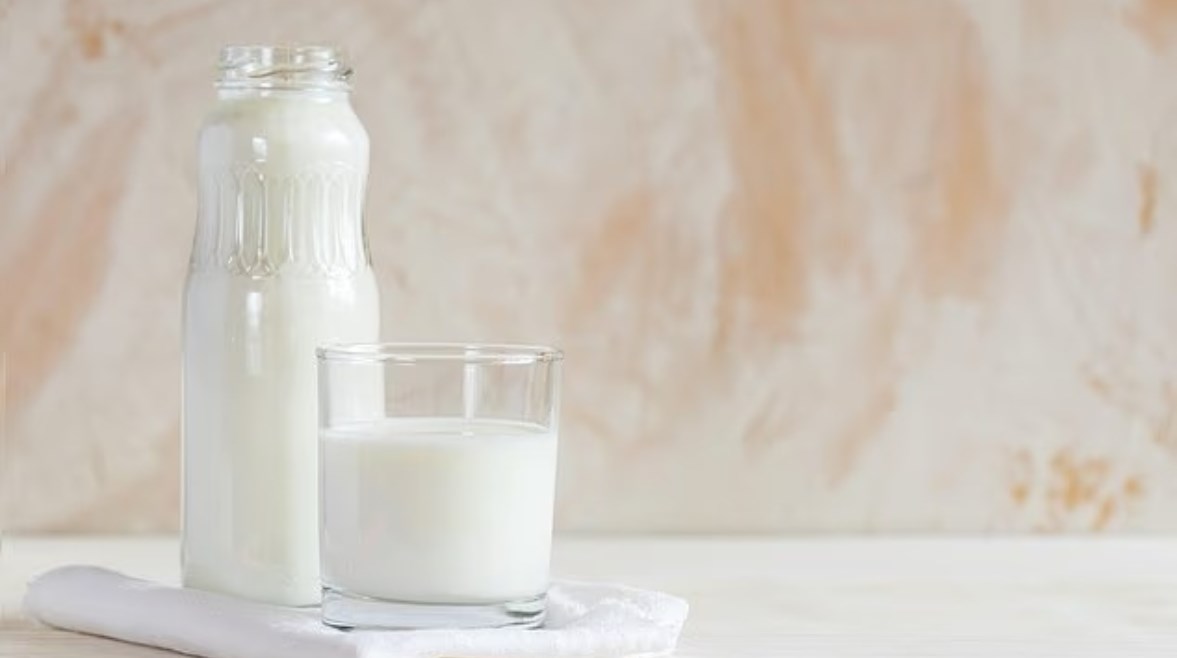 منتجات الألبان 