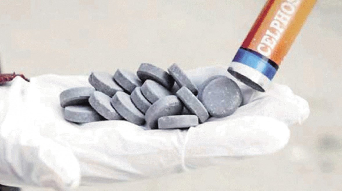  قرص غلة - أرشيفية