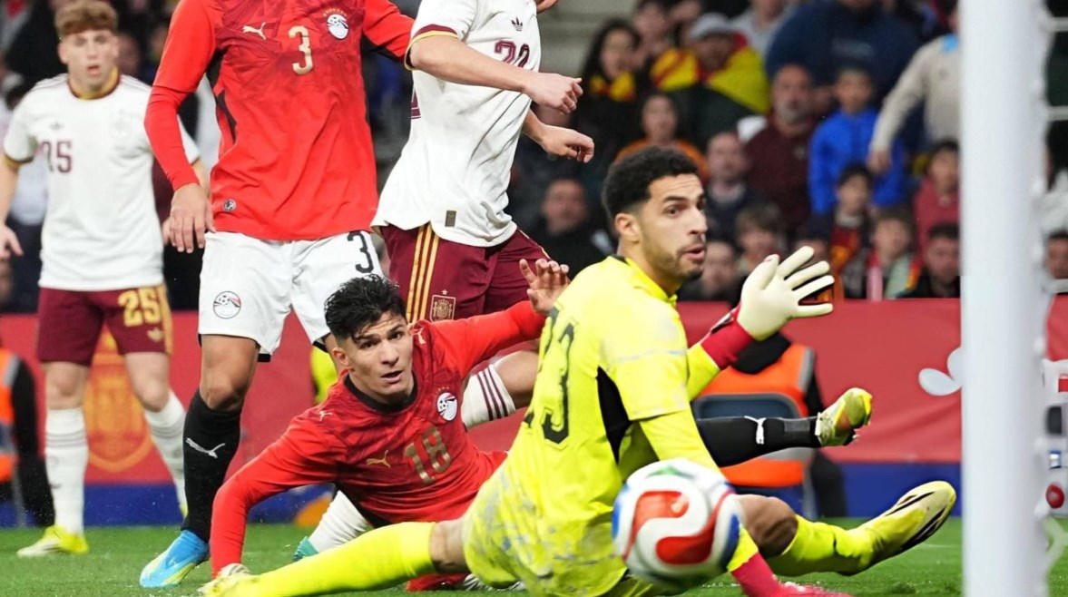 مصطفى شوبير 