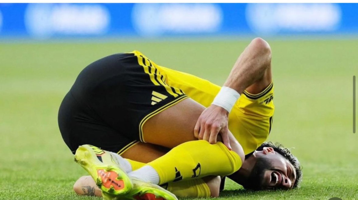 وسام أبو علي 