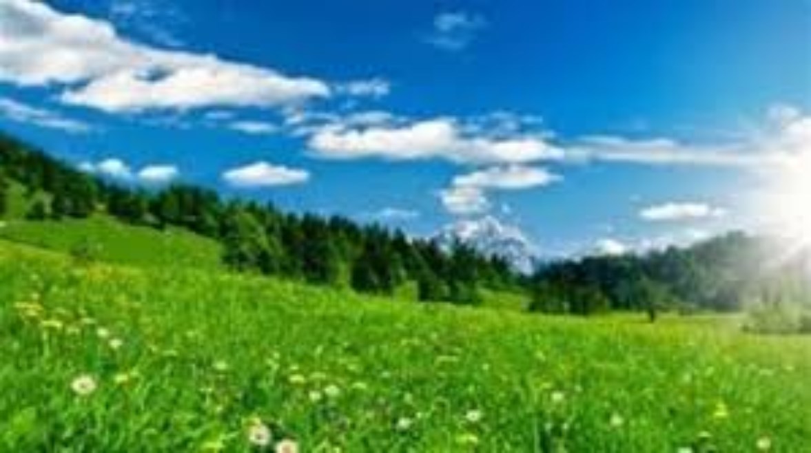 حكمة عن الربيع