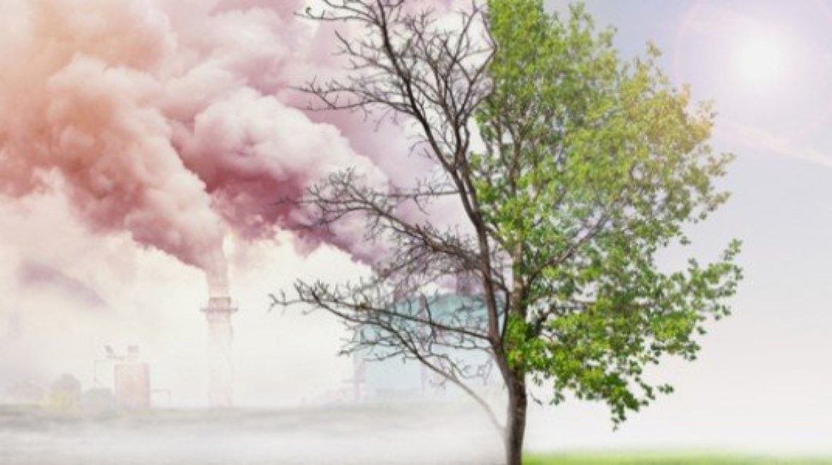 تعبير عن تلوث البيئة بالعناصر للطلاب 2026