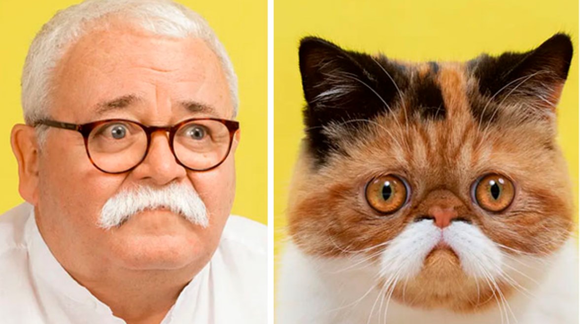 القطط والبشر أقرباء