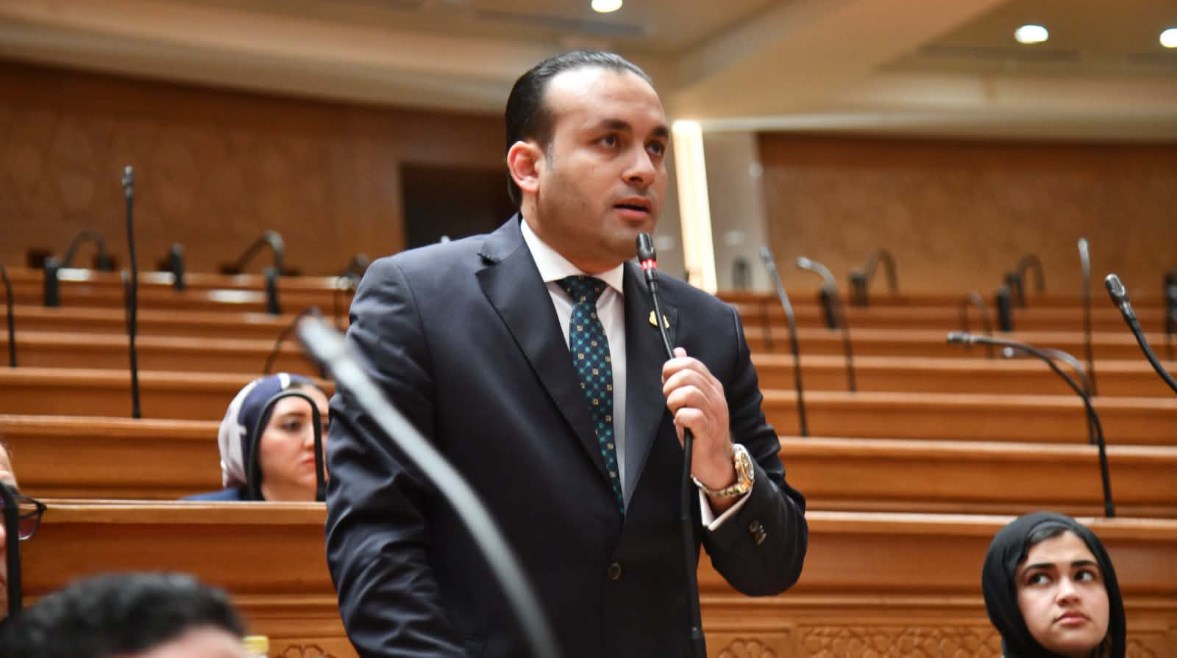 عضو مجلس النواب، عمرو فهمي