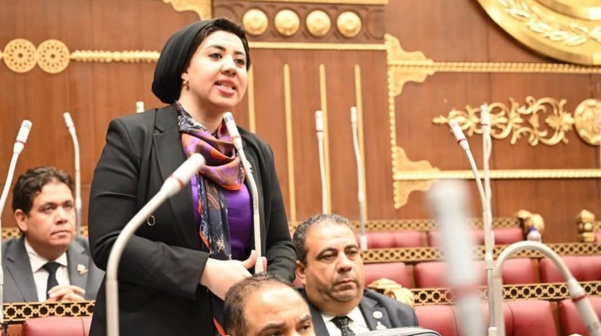 النائبة أميرة صابر 